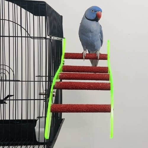 Acrylic Bolt On Bird Ladders Breeders Secret