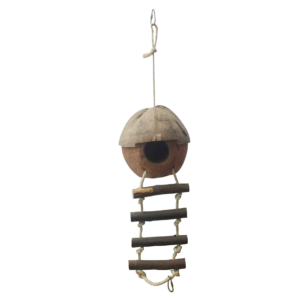 Coconut Hut Ladder Bird Parrot Toy