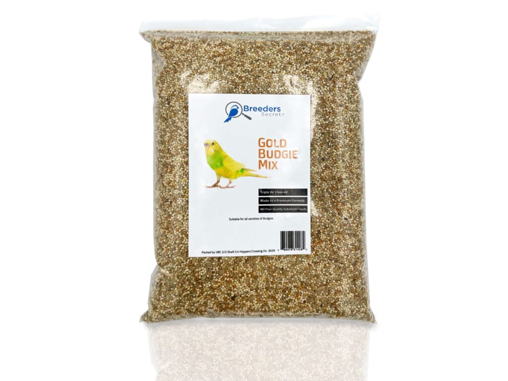 Love Budgie Seed photo