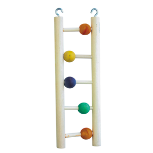 Ladder and Beads Bird Parrot Toy 23cm