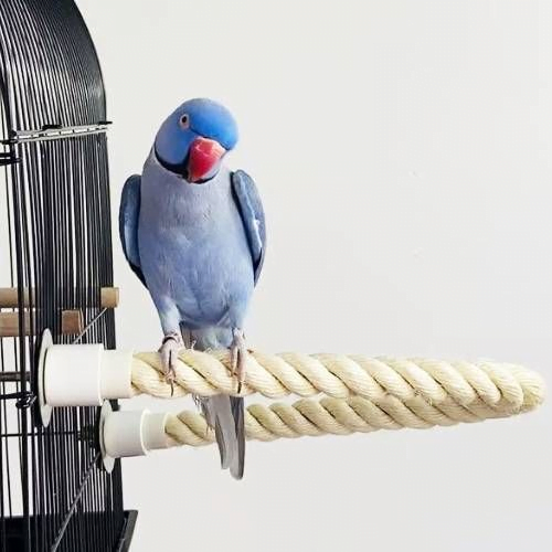 Natural Rope Bird Perch