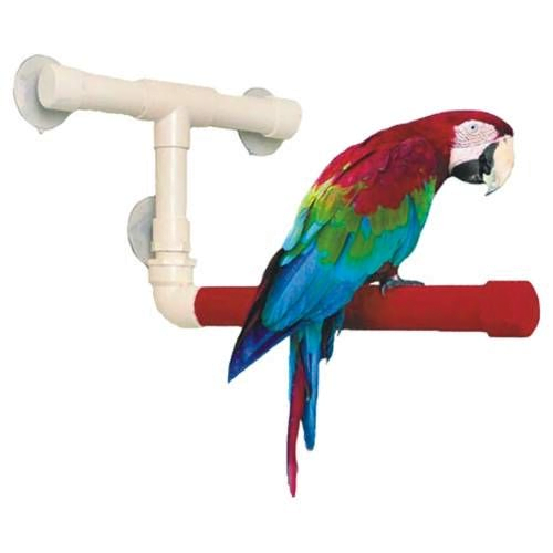 Shower Bird Perch Breeders Secret Bird Products