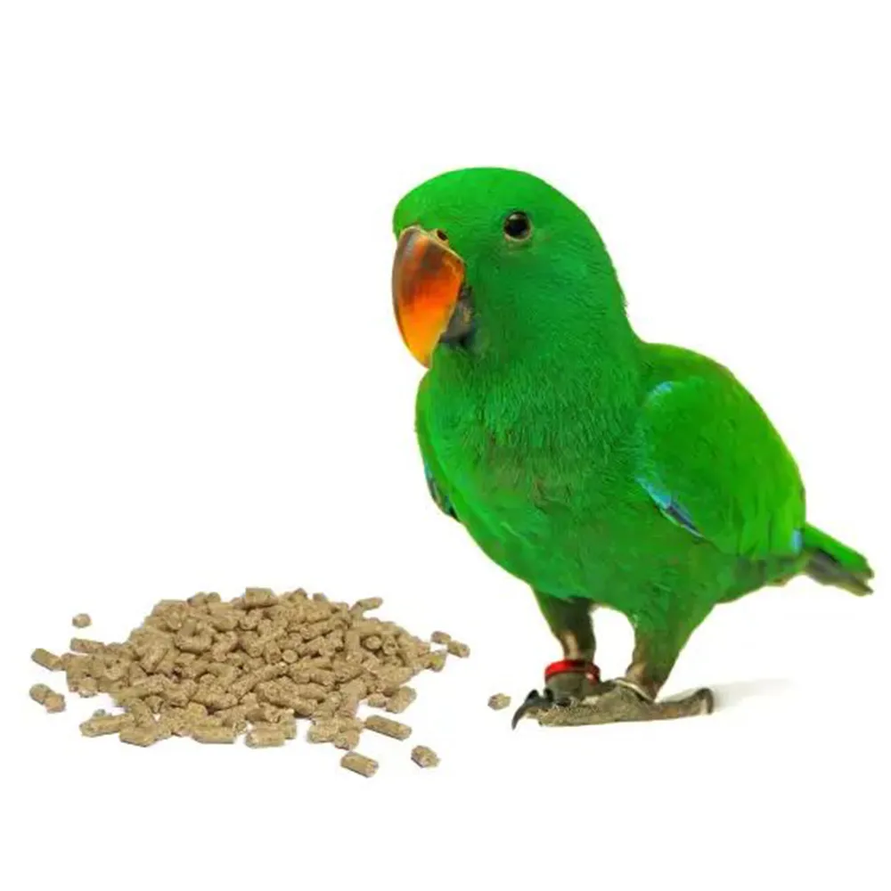 Bird Nutrition