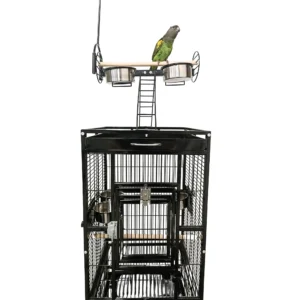 Parrot playground cage medium