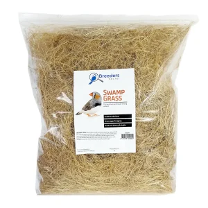 Swamp Grass