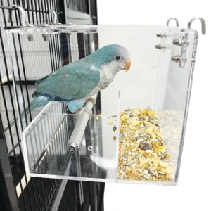 Birdie Butler Acrylic bird Feeder