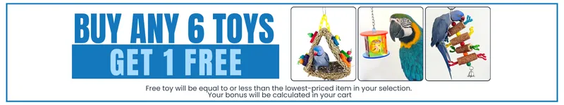 Bird Toys