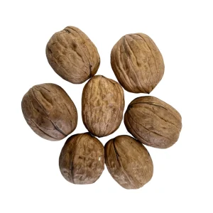 Avian Walnuts in Shell_2