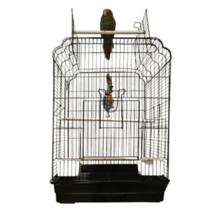Open top bird cage medium