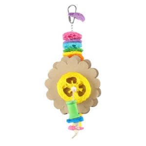 Rainbow Loofah Bird Toy