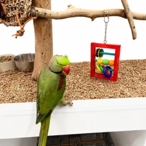 Interactive bird toy