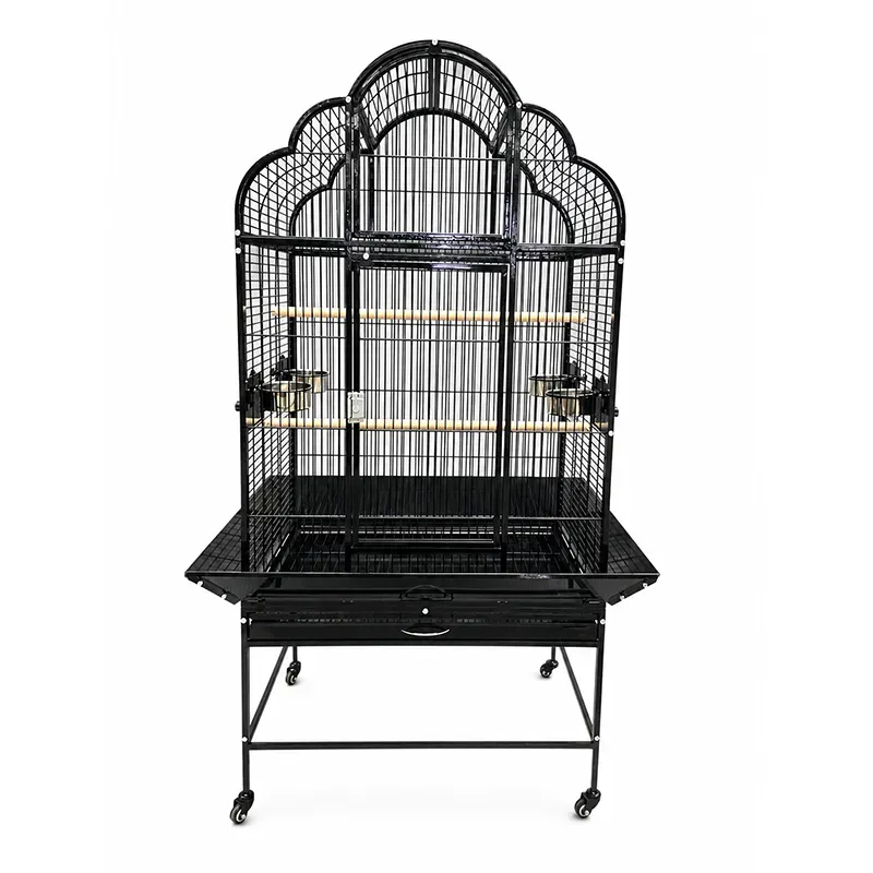 Open top parrot cage Scallop design